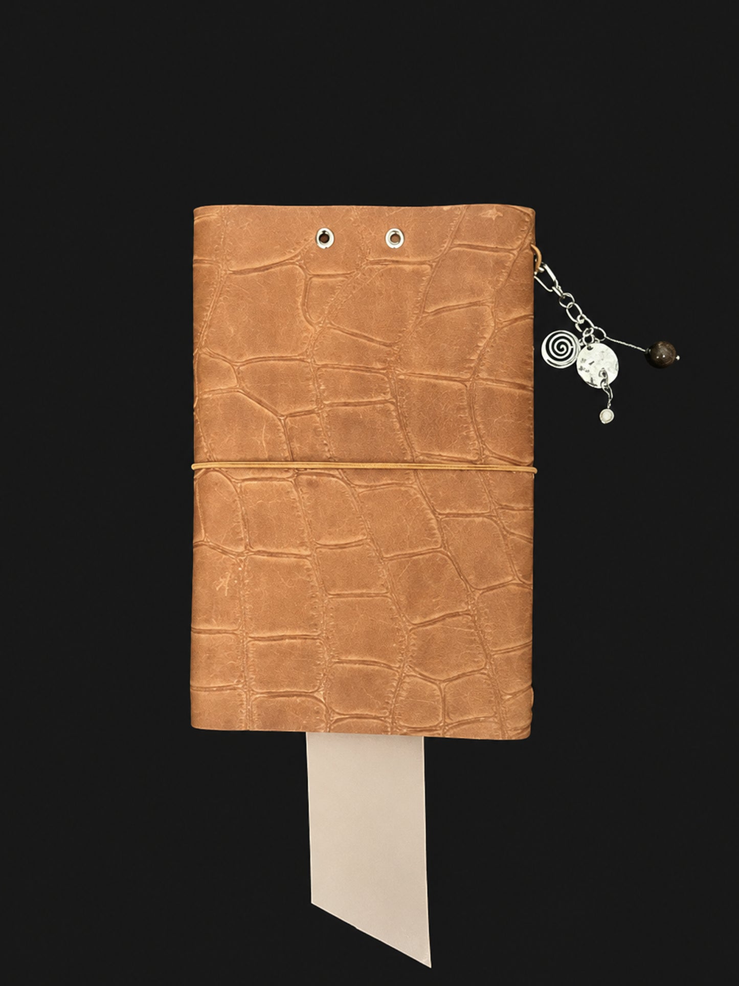 The Archive / Écorce No. 006