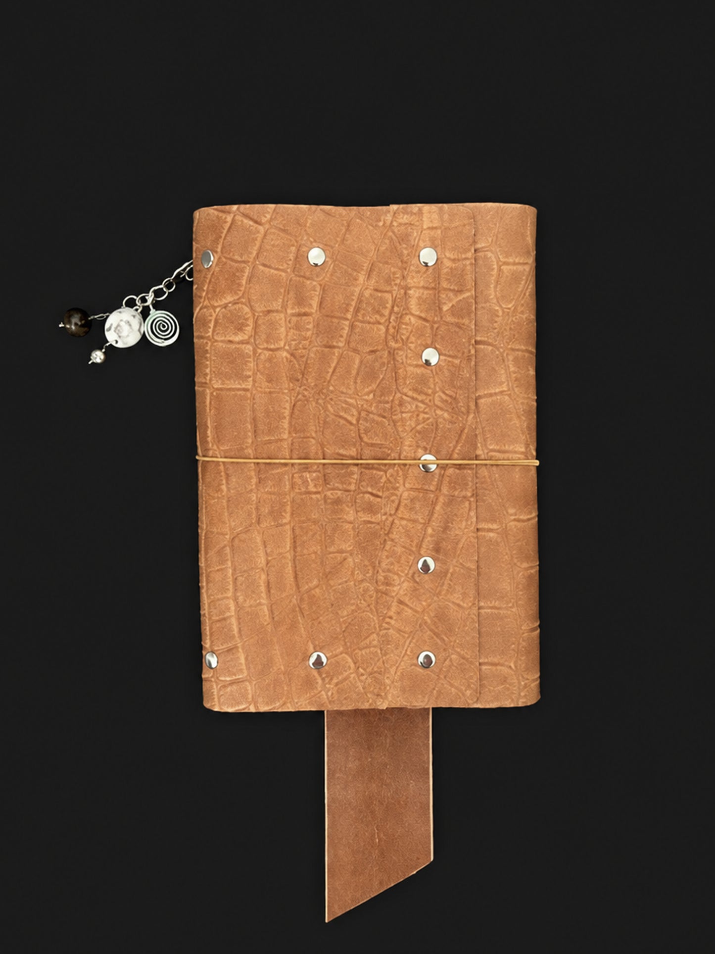 The Archive / Écorce No. 006