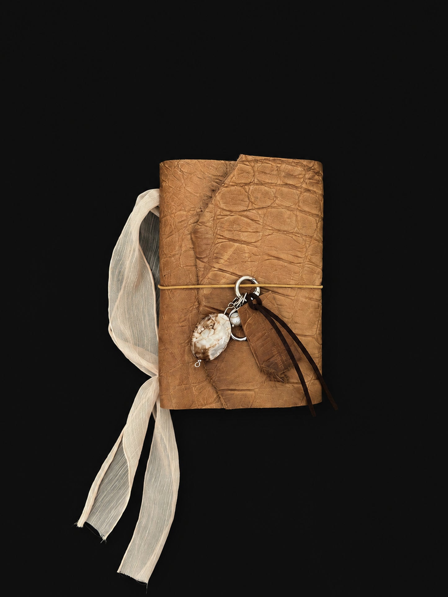 The Archive / Écorce No. 003