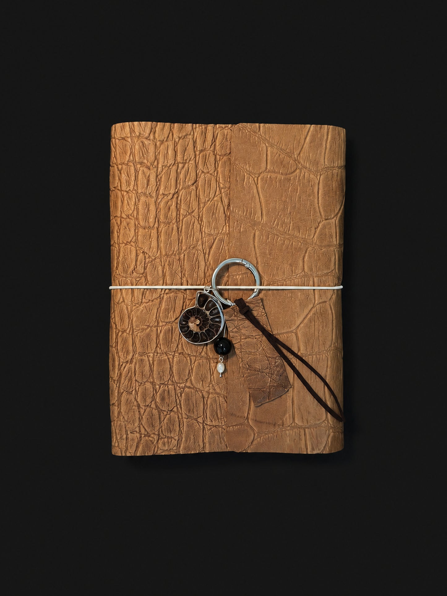 The Archive / Écorce No. 002